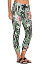 view 2 of 3 Jade Joggers in Tropical