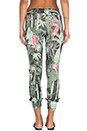 view 3 of 3 Jade Joggers in Tropical