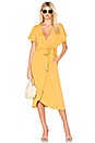 view 1 of 3 Rina Dress in Golden Emmer