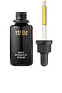 view 1 of 4 Daily Botanical Serum in 