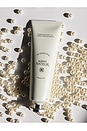 view 6 of 10 Holi (pearly) Whites Probiotic Whitening Toothpaste in 
