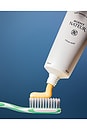 view 8 of 10 Holi (pearly) Whites Probiotic Whitening Toothpaste in 