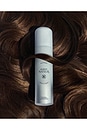 view 6 of 12 x REVOLVE Holi (locks) Silk Peptide Bonding Leave-in Repair in 