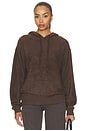 view 1 of 4 SWEAT À CAPUCHE ILLARIA in Chocolate Brown