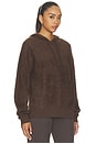 view 2 of 4 SWEAT À CAPUCHE ILLARIA in Chocolate Brown
