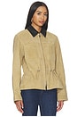 view 3 of 5 MAVIS  스웨이드 자켓 in Camel