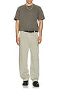 view 5 of 5 Slater Trouser in Wicker