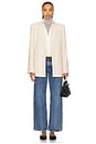 view 5 of 6 Low Rise Loose Jeans in Charge