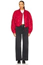 view 5 of 6 Low Slung Baggy Jeans in Recess