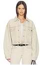 view 1 of 4 BLOUSON PALMER in Arena