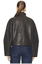 view 5 of 5 Pierson Jacket in Chia