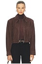 view 1 of 5 Nahlia Cropped Suede Jacket in Root