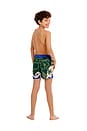 view 5 of 5 Nick Thamar Swim Short in Multicolor
