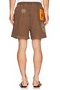 view 3 of 6 Cece Shorts in Brown