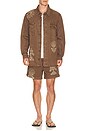 view 4 of 6 Cece Shorts in Brown