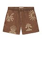 view 5 of 6 Cece Shorts in Brown