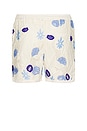 view 2 of 6 Maury Shorts in White