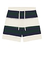 view 4 of 4 Maury Shorts in Blue, Green, & White Stripe