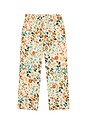 view 5 of 5 PANTALONES AGUA BENDITA in Cream