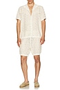 view 4 of 4 Jared Shirt in Cream in Grey