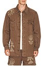view 1 of 5 CHEMISE AGUA BENDITA in Brown