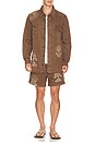 view 3 of 5 CHEMISE AGUA BENDITA in Brown