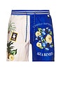 view 1 of 4 Joe Trunk in Blue & White
