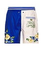 view 2 of 4 Joe Trunk in Blue & White