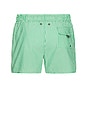 view 2 of 6 Cassius Swim Trunks in Green & White