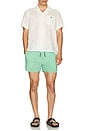 view 6 of 6 Cassius Swim Trunks in Green & White