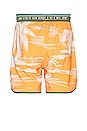 view 2 of 4 Liam Honolulu Swim Shorts in Yellow
