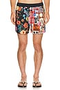 view 1 of 5 Cassius Trunks in Multi