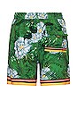 view 2 of 3 Joe Aine Swim Shorts in Green