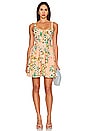 view 1 of 3 x REVOLVE Spring Mini Dress in Shan Floral