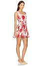 view 2 of 3 Kristen Mini Dress in Red Floral