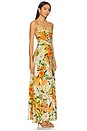 view 2 of 3 Arista Ete Dress in Multicolor