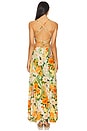view 3 of 3 Arista Ete Dress in Multicolor