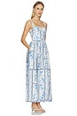 view 2 of 3 Marcia Ivy Dress in Multicolor