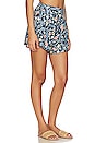 view 2 of 4 Nalia Short in Ross Multicolor
