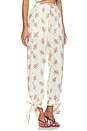 view 2 of 6 Silvia Cherish Pant in Multicolor