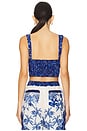 view 3 of 4 x REVOLVE Lupe Crop Top in Blue & White
