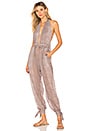 view 1 of 3 Josie Jumpsuit in Python