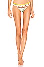 view 1 of 5 Lola Bikini Bottom in Candy