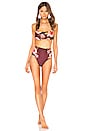 view 5 of 5 BRAGUITA BIKINI ALICIA in Cocoa