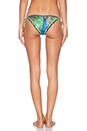view 3 of 4 Bendito Peacock String Bikini Bottom in Multi