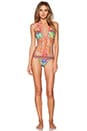 view 1 of 3 MAILLOT DE BAIN TROPICAL DESTINY BEDITO SANDIA in Multi