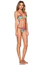 view 2 of 3 MAILLOT DE BAIN TROPICAL DESTINY BEDITO SANDIA in Multi