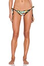 view 1 of 4 Pineapple Delight Bendito Batido Bikini Bottom in Multi
