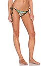 view 2 of 4 Pineapple Delight Bendito Batido Bikini Bottom in Multi