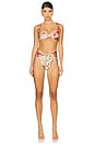 view 4 of 4 Lily Harvest Bikini Bottom in Multicolor